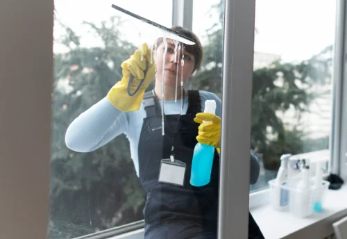 Nettoyage de vitres intérieures et extérieures à Tarabel